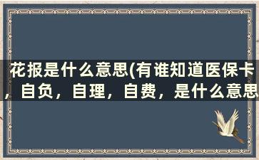 花报是什么意思(有谁知道医保卡，自负，自理，自费，是什么意思)