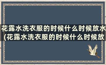 花露水洗衣服的时候什么时候放水(花露水洗衣服的时候什么时候放洗衣液)