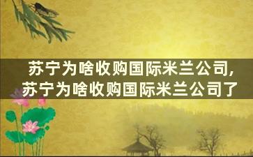 苏宁为啥收购国际米兰公司,苏宁为啥收购国际米兰公司了