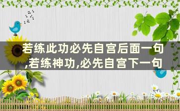 若练此功必先自宫后面一句,若练神功,必先自宫下一句