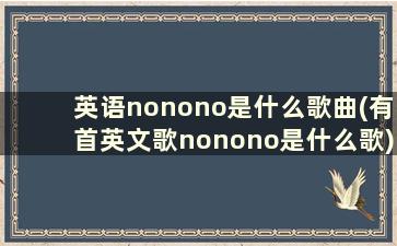 英语nonono是什么歌曲(有首英文歌nonono是什么歌)