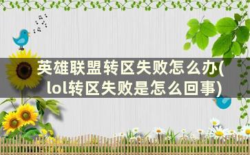 英雄联盟转区失败怎么办(lol转区失败是怎么回事)