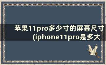 苹果11pro多少寸的屏幕尺寸(iphone11pro是多大的屏幕尺寸)