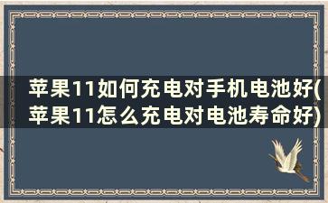 苹果11如何充电对手机电池好(苹果11怎么充电对电池寿命好)