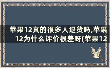 苹果12真的很多人退货吗,苹果12为什么评价很差呀(苹果12为什么这么多人退货)