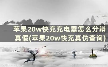 苹果20w快充充电器怎么分辨真假(苹果20w快充真伪查询)