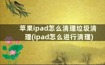 苹果ipad怎么清理垃圾清理(ipad怎么进行清理)