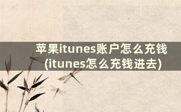 苹果itunes账户怎么充钱(itunes怎么充钱进去)