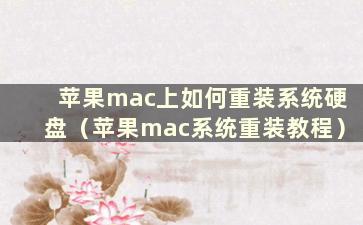 苹果mac上如何重装系统硬盘（苹果mac系统重装教程）