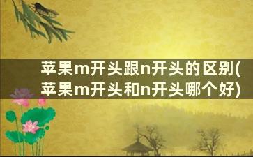 苹果m开头跟n开头的区别(苹果m开头和n开头哪个好)