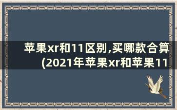 苹果xr和11区别,买哪款合算(2021年苹果xr和苹果11哪个值得买)