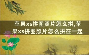 苹果xs拼图照片怎么拼,苹果xs拼图照片怎么拼在一起