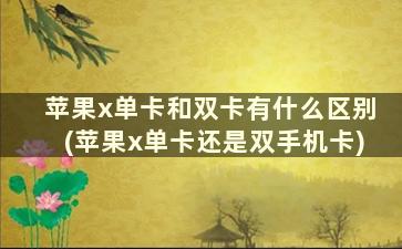 苹果x单卡和双卡有什么区别(苹果x单卡还是双手机卡)