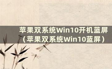 苹果双系统Win10开机蓝屏（苹果双系统Win10蓝屏）