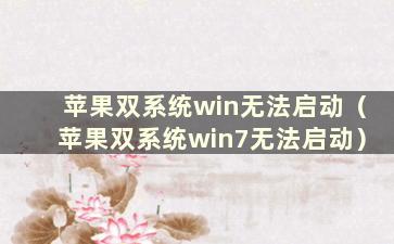 苹果双系统win无法启动（苹果双系统win7无法启动）