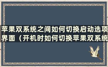 苹果双系统之间如何切换启动选项界面（开机时如何切换苹果双系统）