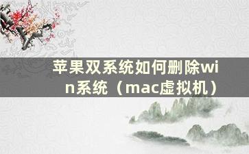 苹果双系统如何删除win系统（mac虚拟机）