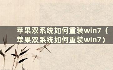 苹果双系统如何重装win7（苹果双系统如何重装win7）