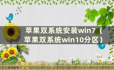 苹果双系统安装win7（苹果双系统win10分区）