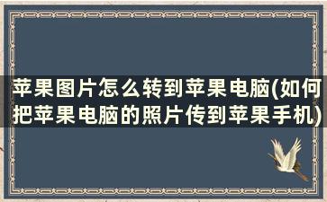 苹果图片怎么转到苹果电脑(如何把苹果电脑的照片传到苹果手机)