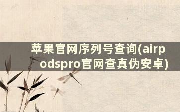 苹果官网序列号查询(airpodspro官网查真伪安卓)