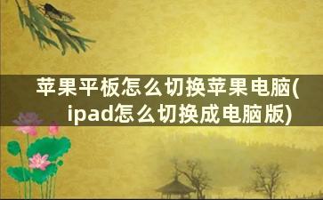 苹果平板怎么切换苹果电脑(ipad怎么切换成电脑版)