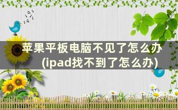 苹果平板电脑不见了怎么办(ipad找不到了怎么办)