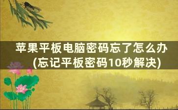 苹果平板电脑密码忘了怎么办(忘记平板密码10秒解决)