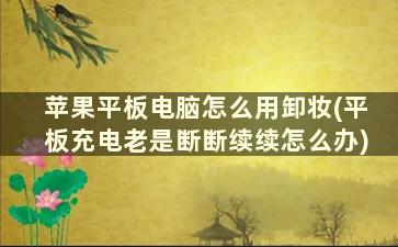 苹果平板电脑怎么用卸妆(平板充电老是断断续续怎么办)