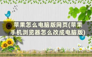 苹果怎么电脑版网页(苹果手机浏览器怎么改成电脑版)