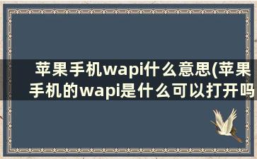 苹果手机wapi什么意思(苹果手机的wapi是什么可以打开吗)