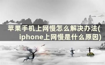 苹果手机上网慢怎么解决办法(iphone上网慢是什么原因)