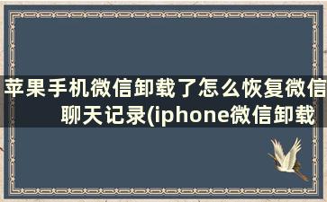 苹果手机微信卸载了怎么恢复微信聊天记录(iphone微信卸载了怎么恢复聊天记录)