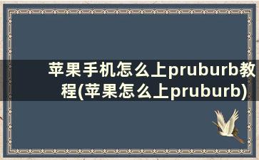 苹果手机怎么上pruburb教程(苹果怎么上pruburb)