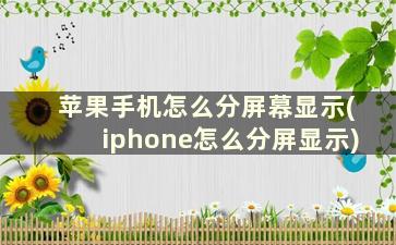 苹果手机怎么分屏幕显示(iphone怎么分屏显示)