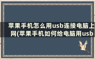 苹果手机怎么用usb连接电脑上网(苹果手机如何给电脑用usb共享网络)