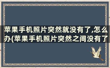 苹果手机照片突然就没有了,怎么办(苹果手机照片突然之间没有了)