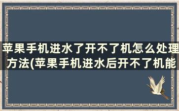 苹果手机进水了开不了机怎么处理方法(苹果手机进水后开不了机能修吗)