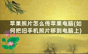 苹果照片怎么传苹果电脑(如何把旧手机照片移到电脑上)