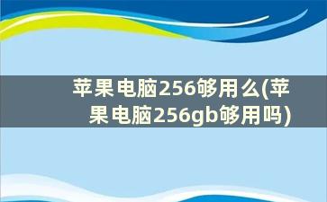 苹果电脑256够用么(苹果电脑256gb够用吗)