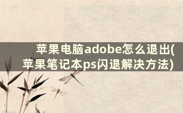 苹果电脑adobe怎么退出(苹果笔记本ps闪退解决方法)