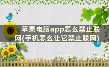 苹果电脑app怎么禁止联网(手机怎么让它禁止联网)