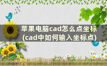 苹果电脑cad怎么点坐标(cad中如何输入坐标点)