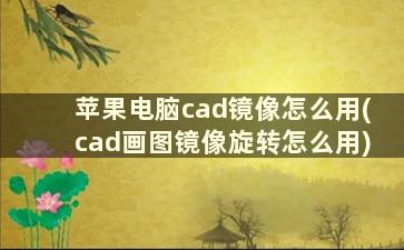 苹果电脑cad镜像怎么用(cad画图镜像旋转怎么用)