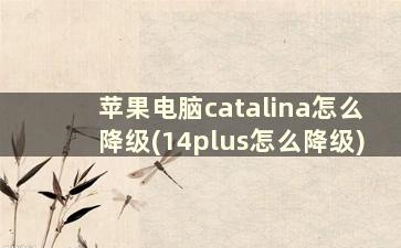 苹果电脑catalina怎么降级(14plus怎么降级)