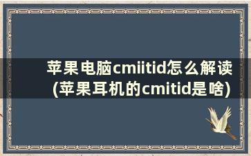 苹果电脑cmiitid怎么解读(苹果耳机的cmitid是啥)