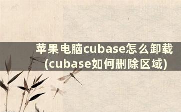 苹果电脑cubase怎么卸载(cubase如何删除区域)