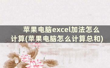 苹果电脑excel加法怎么计算(苹果电脑怎么计算总和)