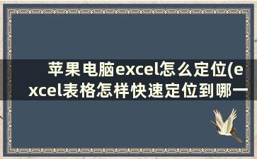 苹果电脑excel怎么定位(excel表格怎样快速定位到哪一行)