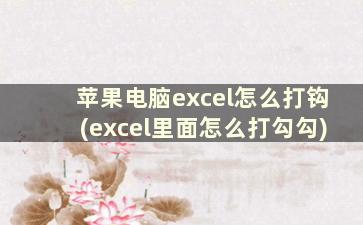 苹果电脑excel怎么打钩(excel里面怎么打勾勾)